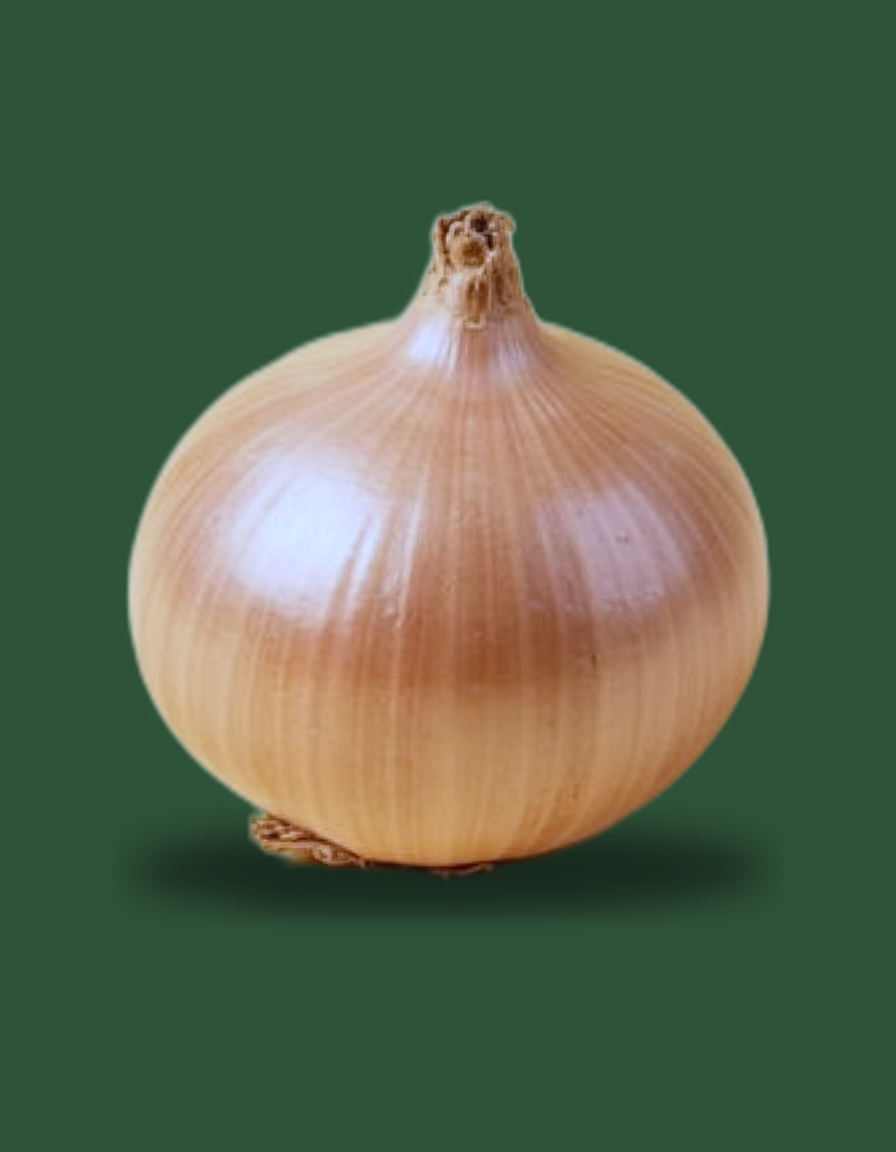 Onion