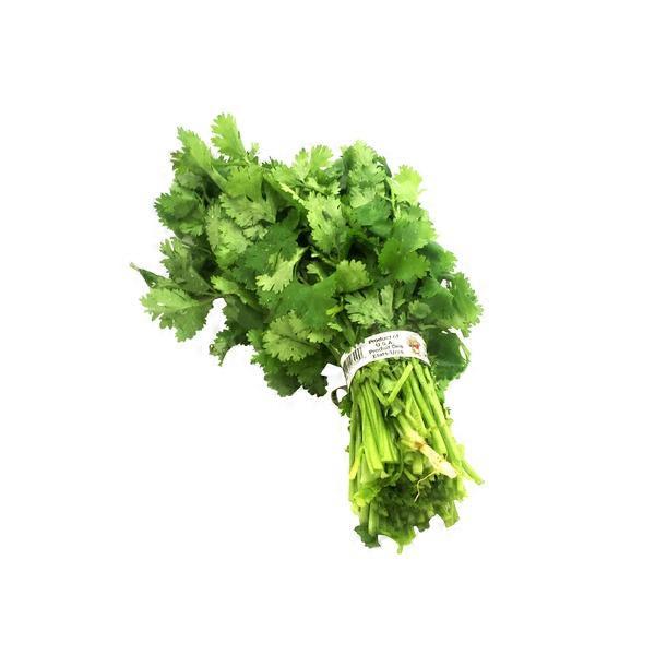 Cilantro